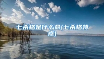 七杀格是什么命(七杀格特点)