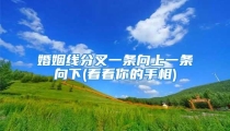 婚姻线分叉一条向上一条向下(看看你的手相)