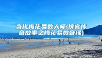 当代梅花易数大师(侠客传奇故事之梅花易数奇缘)