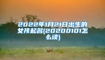 2022年1月21日出生的女孩起名(20200101怎么读)