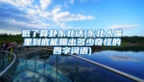 低了算卦东北话(东北人嘴里到底能蹦出多少奇怪的四字词语)