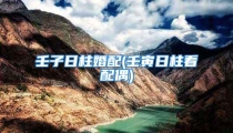 壬子日柱婚配(壬寅日柱看配偶)
