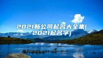 2021新公司起名大全集(2021起名字)