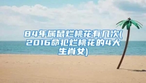 84年属鼠烂桃花有几次(2016命犯烂桃花的4大生肖女)