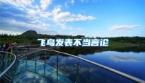 飞鸟发表不当言论