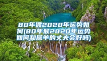 80年猴2020年运势如何(80年猴2020年运势如何和属羊的丈夫会好吗)