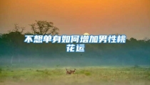 不想单身如何增加男性桃花运