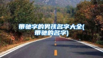 带驰字的男孩名字大全(带驰的名字)