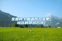 全国网上申请姓名变更(域名的命名方式)
