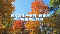 己亥日生于申时 己亥日申时生命运好吗
