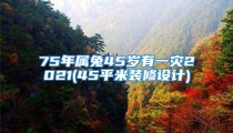 75年属兔45岁有一灾2021(45平米装修设计)