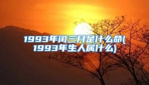 1993年闰三月是什么命(1993年生人属什么)