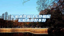 松柏木命和什么命相配 松柏木命好不好