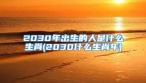 2030年出生的人是什么生肖(2030什么生肖年)