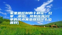 家里最旺财的十种花，红掌、茶花、凤梨花等(红掌的风水寓意摆放什么位置好)