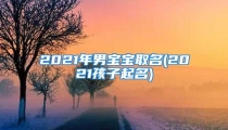 2021年男宝宝取名(2021孩子起名)