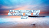 天干地支婚姻配对法(婚姻八字配对 农历 男女 测试)