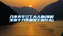 八字天干三丁大人物(海贼王这十八年都说了些什么)