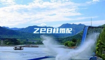 乙巳日柱婚配