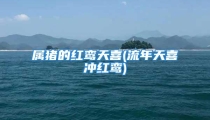 属猪的红鸾天喜(流年天喜冲红鸾)