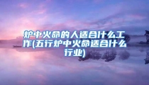 炉中火命的人适合什么工作(五行炉中火命适合什么行业)
