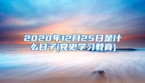 2020年12月25日是什么日子(党史学习教育)