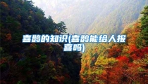 喜鹊的知识(喜鹊能给人报喜吗)