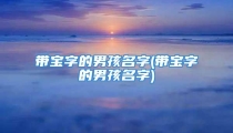 带宝字的男孩名字(带宝字的男孩名字)