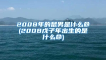 2008年的鼠男是什么命(2008戊子年出生的是什么命)