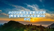 2022年虎宝宝男孩名字(男宝宝取名字大全集2022)