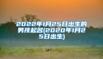 2022年1月25日出生的男孩起名(2020年1月25日出生)