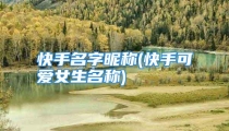 快手名字昵称(快手可爱女生名称)
