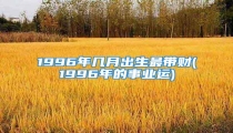 1996年几月出生最带财(1996年的事业运)