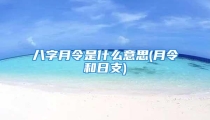 八字月令是什么意思(月令和日支)