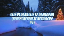 92男猴和92女猴相配吗(92男猴92女猴婚配好吗)