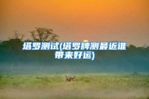 塔罗测试(塔罗牌测最近谁带来好运)