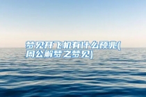 梦见开飞机有什么预兆(周公解梦之梦见)