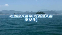 吃鸡撩人名字(吃鸡撩人名字女生)