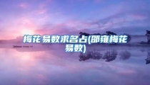 梅花易数求名占(邵雍梅花易数)