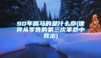 90年属马的是什么命(谁将从零售的第三次革命中胜出)