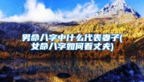 男命八字中什么代表妻子(女命八字如何看丈夫)