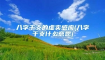 八字干支的虚实感应(八字干支什么意思)