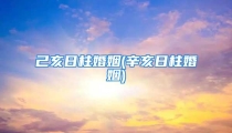 己亥日柱婚姻(辛亥日柱婚姻)