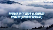 梦到怀孕了是什么意思周公解梦(做梦梦见怀孕)