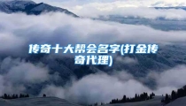 传奇十大帮会名字(打金传奇代理)