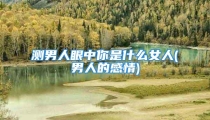 测男人眼中你是什么女人(男人的感情)