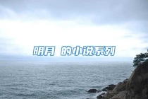 明月珰的小说系列