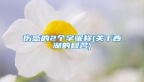伤感的2个字昵称(关于西湖的网名)