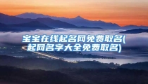 宝宝在线起名网免费取名(起网名字大全免费取名)