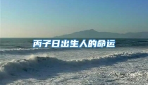 丙子日出生人的命运